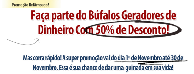 promo bgd novembro